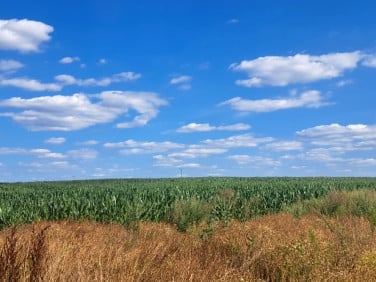 Działka budowlana Miłków-Kolonia