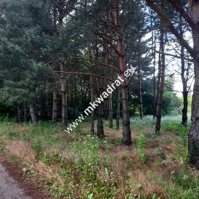 Działka budowlana Strzeniówka