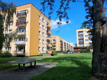 Mieszkanie Siemianowice Śląskie