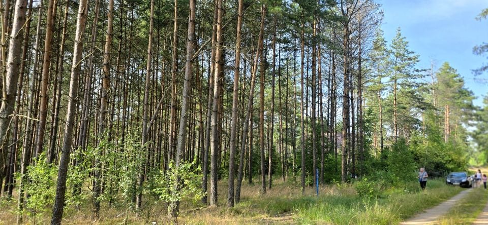Działka Niesiołowice