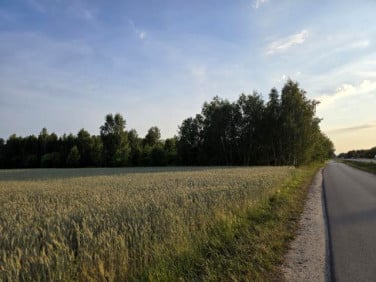 Działka budowlana Czarna