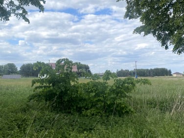 Działka budowlana Nieborów