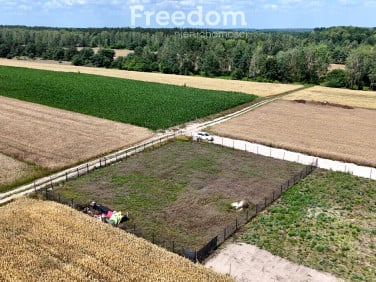 Działka Siedlce