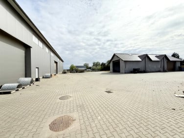 Lokal Wocławy