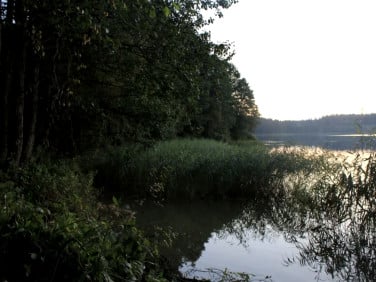 Działka rolna Olsztyn sprzedam