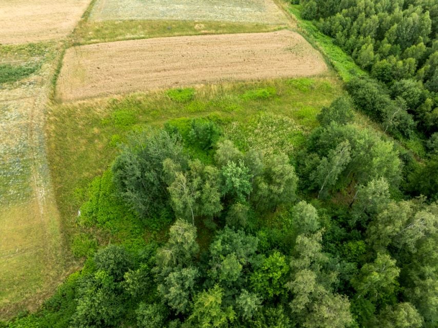 Zdjęcie 3