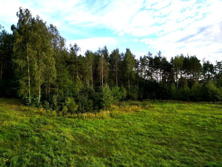 Działka budowlana Chrzanów