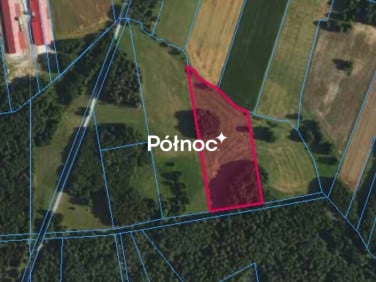 Działka rolna Rynki