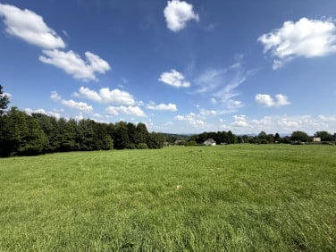 Działka rolna Bieńkowice