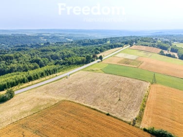 Działka przy lesie