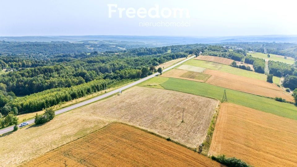 Działka przy lesie