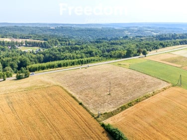 Działka przy lesie