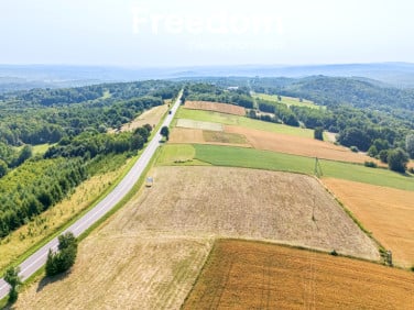 Działka Łubno