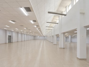 Lokal Grudziądz