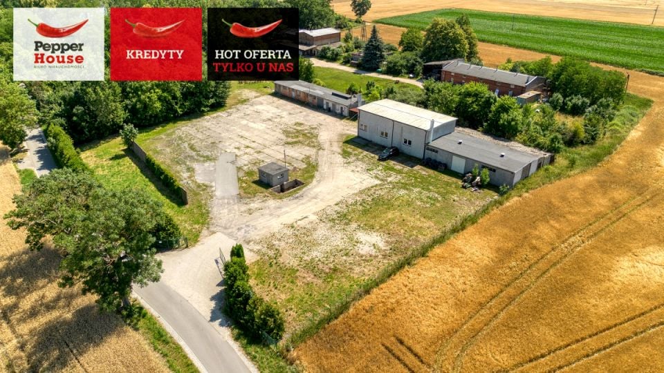 Lokal Młodocin