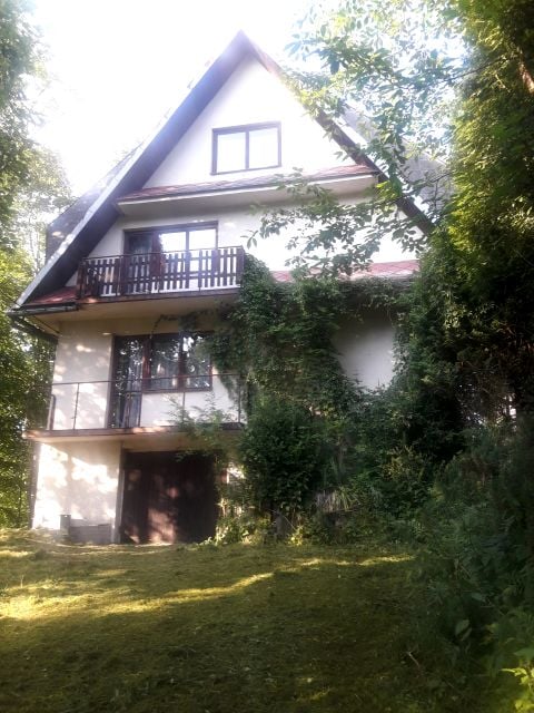 Zdjęcie 2