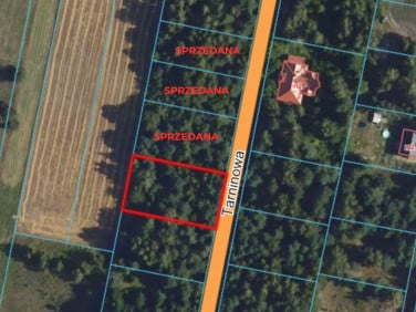 Działka Kuklówka Radziejowicka
