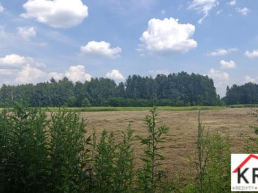 Działka budowlana Krzywa Góra