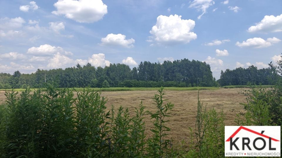 Działka budowlana Krzywa Góra