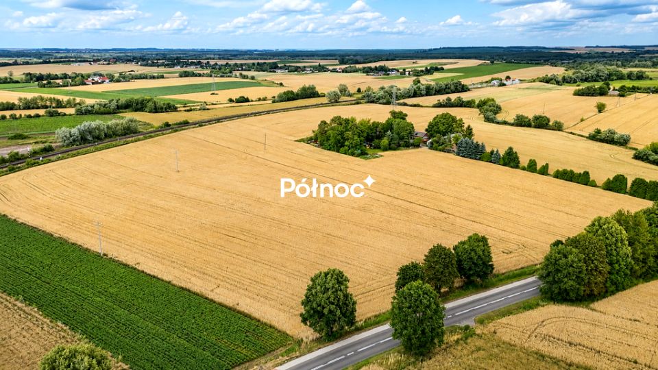 Zdjęcie 3