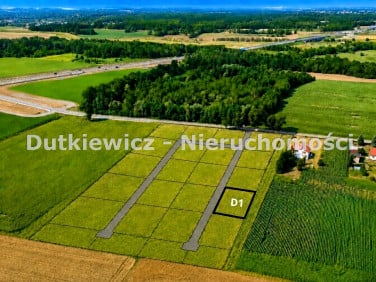 Działka Jedlina
