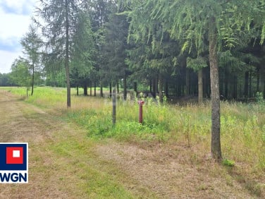 Działka budowlana Rydzów sprzedam