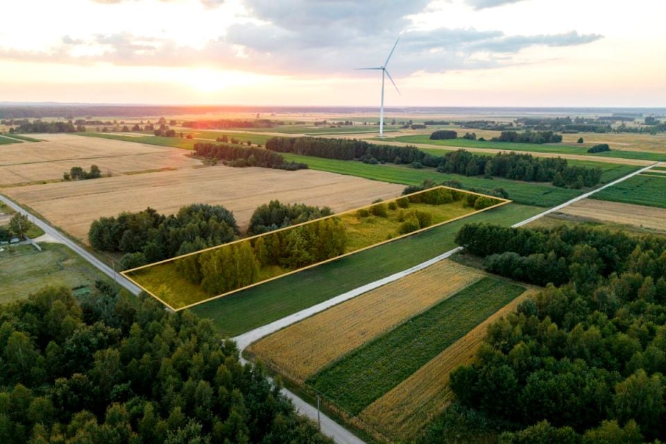 Działka przy lesie