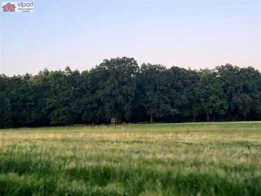Działka Tychy