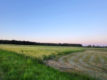 Pusta działka Tychy
