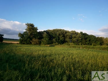 Działka inna Kobylany