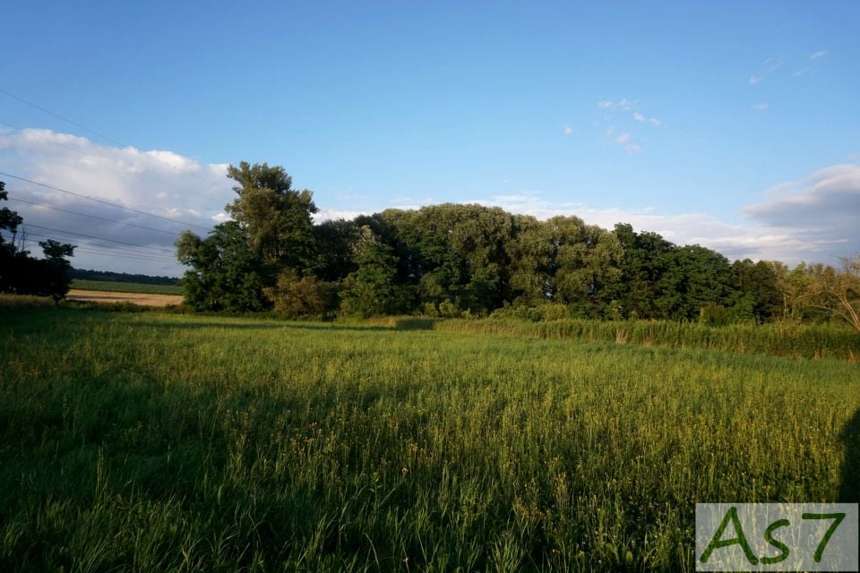 Działka inna Kobylany