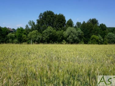 Działka budowlana Alwernia