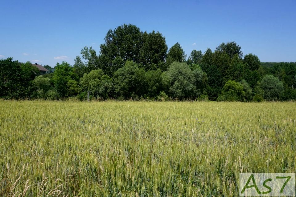 Działka budowlana Alwernia