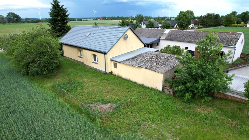 Zdjęcie 3