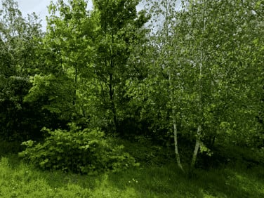 Działka budowlana Mikołów sprzedam