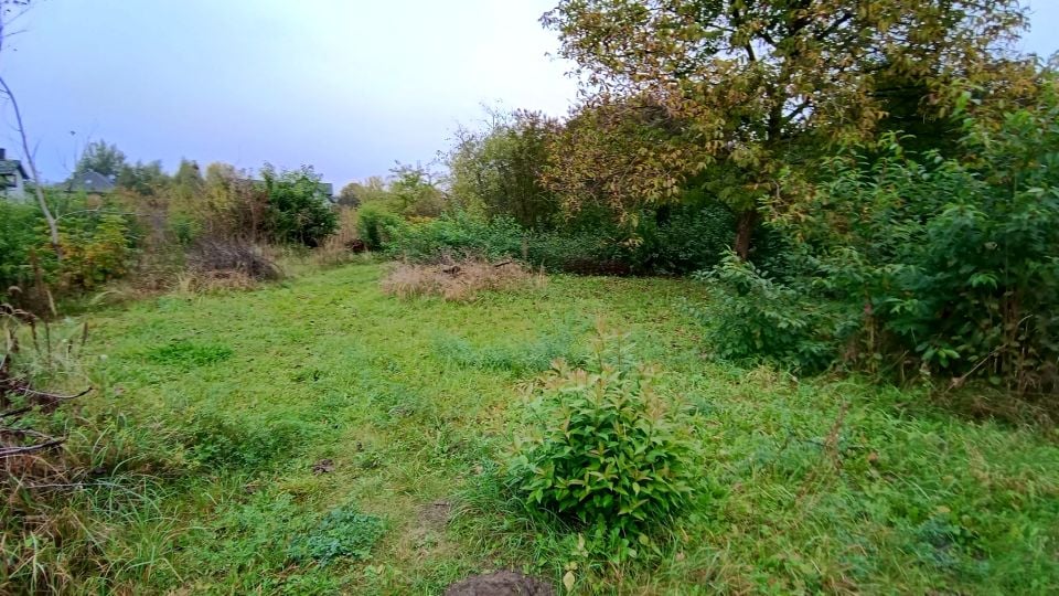 Zdjęcie 3