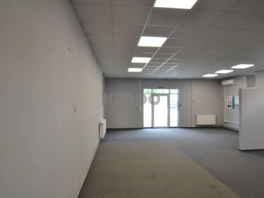 Lokal Wrocław