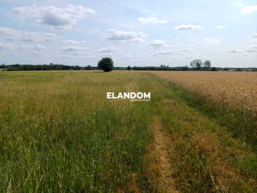 Działka budowlano-rolna Nowa Wieś