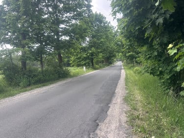 Działka budowlana Nowe Chrusty