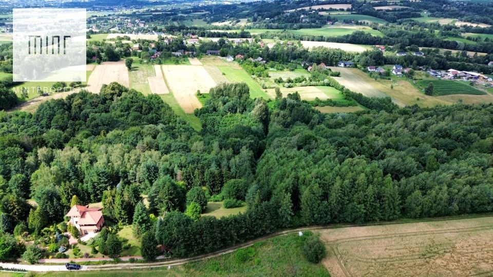 Działka Buczyna