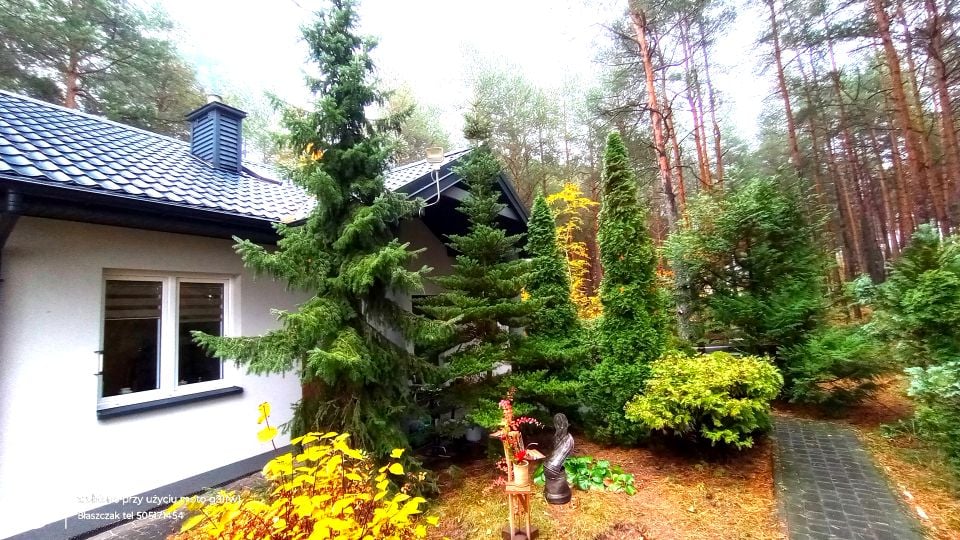 Dom Dobczyn