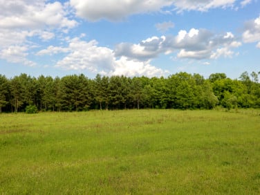 Działka Janopole