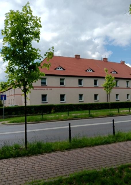 Zdjęcie 3