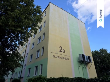 Mieszkanie Świecie