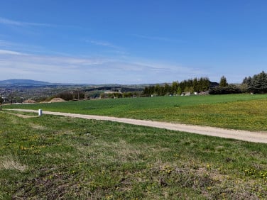 Działka Siedliska