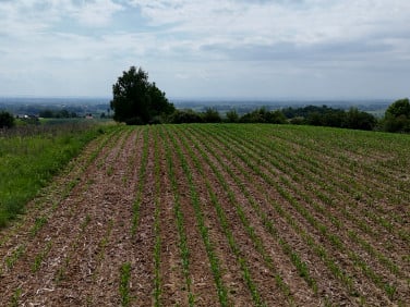 Działka budowlano-rolna Jaksice