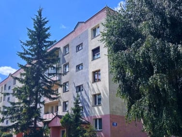 Mieszkanie Warka
