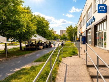 Lokal Warszawa