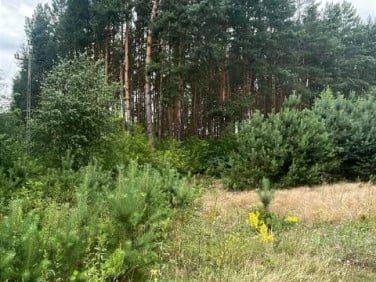 Działka Kunin