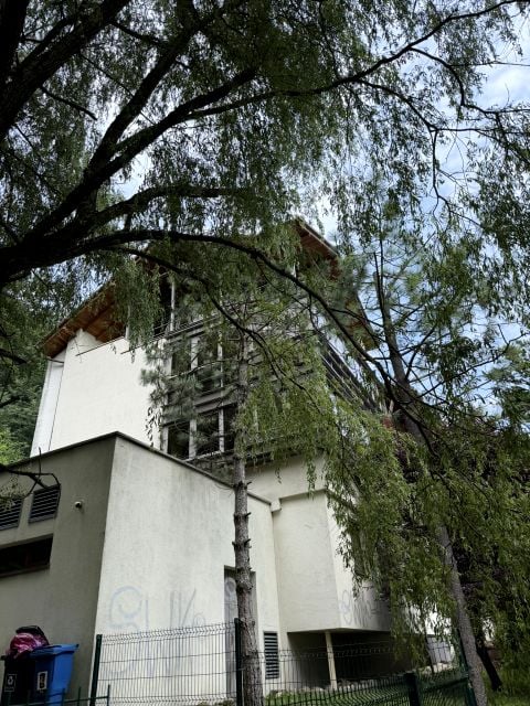 Lokal Bielsko-Biała